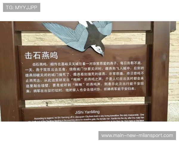 新疆队逆境中奋起，争夺黄金门票！，新疆队的比赛时间